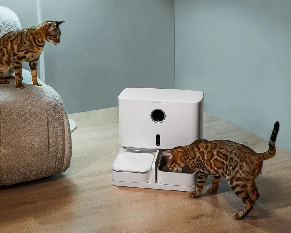 automatic pet food dispenser